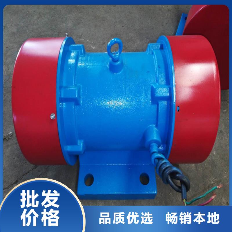 振動(dòng)電機(jī)-振動(dòng)篩廠家批發(fā)供應(yīng)