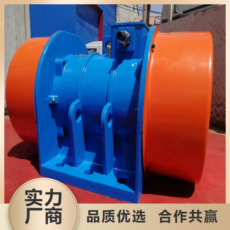 隔爆型振動電機(jī)正規(guī)廠家電機(jī)批發(fā)