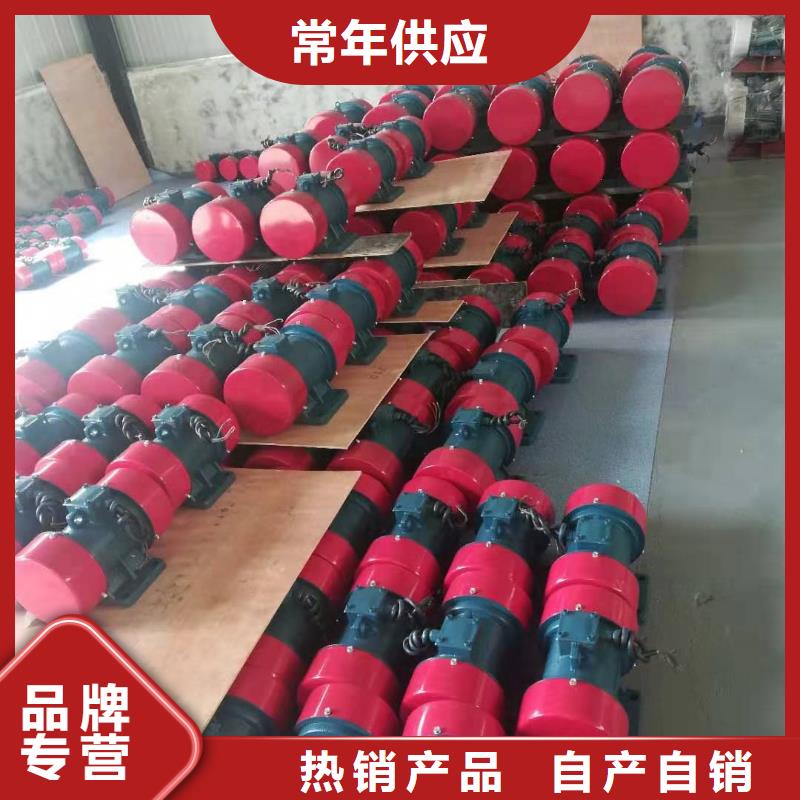 望城YBZJ-16-6防爆振動電機油田防爆振動電機多重優惠
