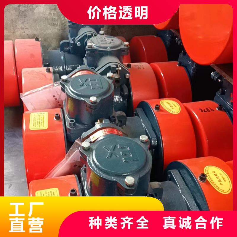 振動電機防爆振動電機廠家實力廠家
