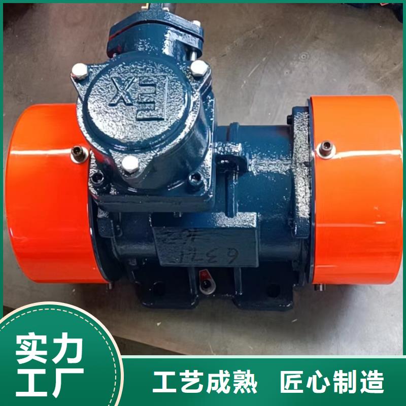 隔爆型振動(dòng)電機(jī)正規(guī)廠家電機(jī)批發(fā)