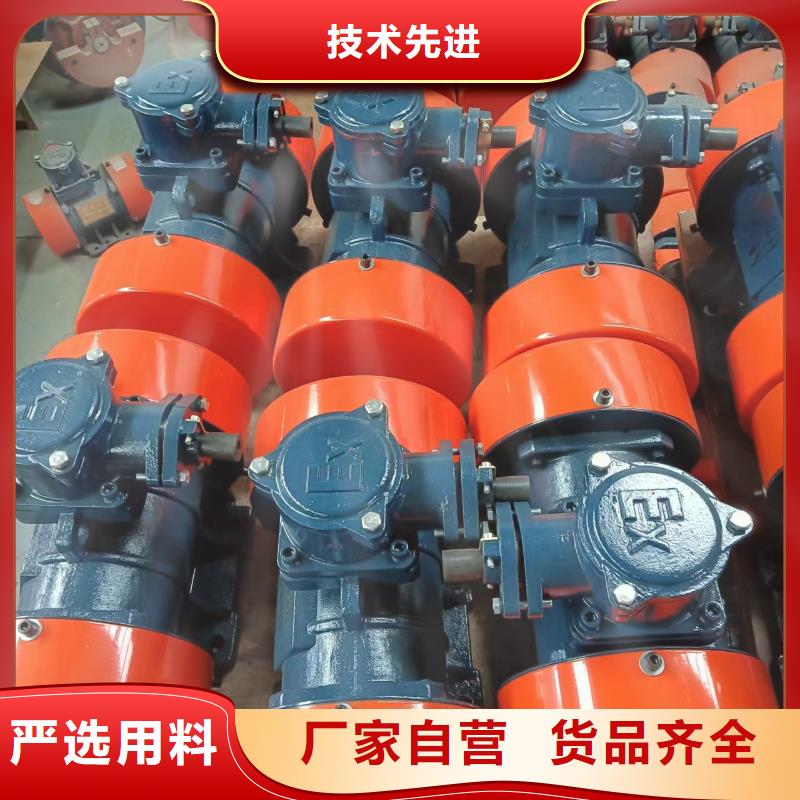 振动电机_防爆电机实力见证