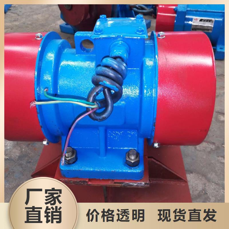倉壁振動器面粉振動篩廠家工廠直銷