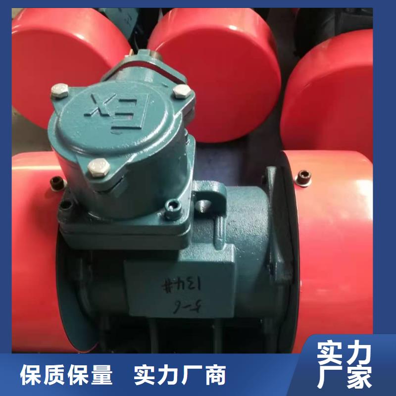 振動(dòng)平臺(tái)_防爆振動(dòng)電機(jī)廠實(shí)力派廠家