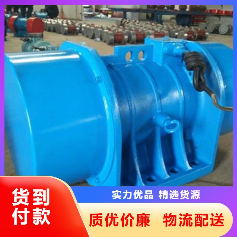 TZD12-2C振動電機供應商報價