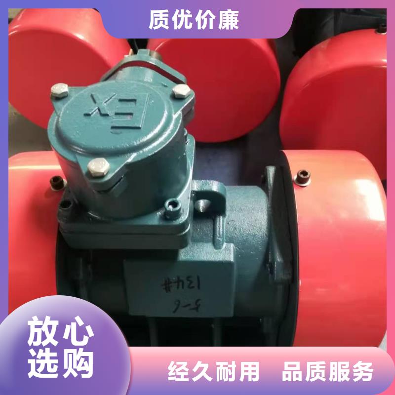 防爆振动电机防爆振动电机厂家工期短发货快