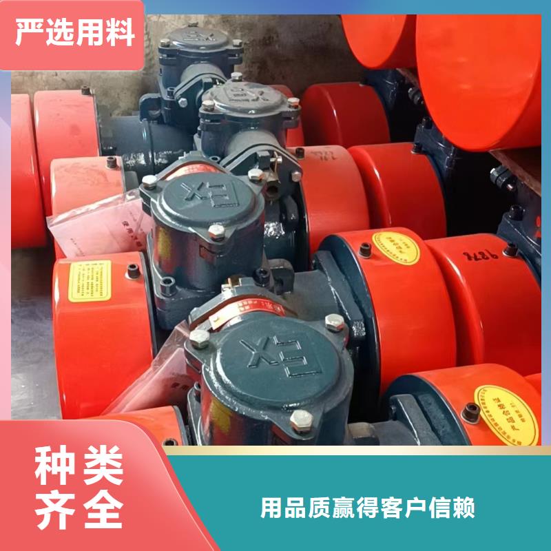 防爆振动电机-防爆振动电机厂家极速发货