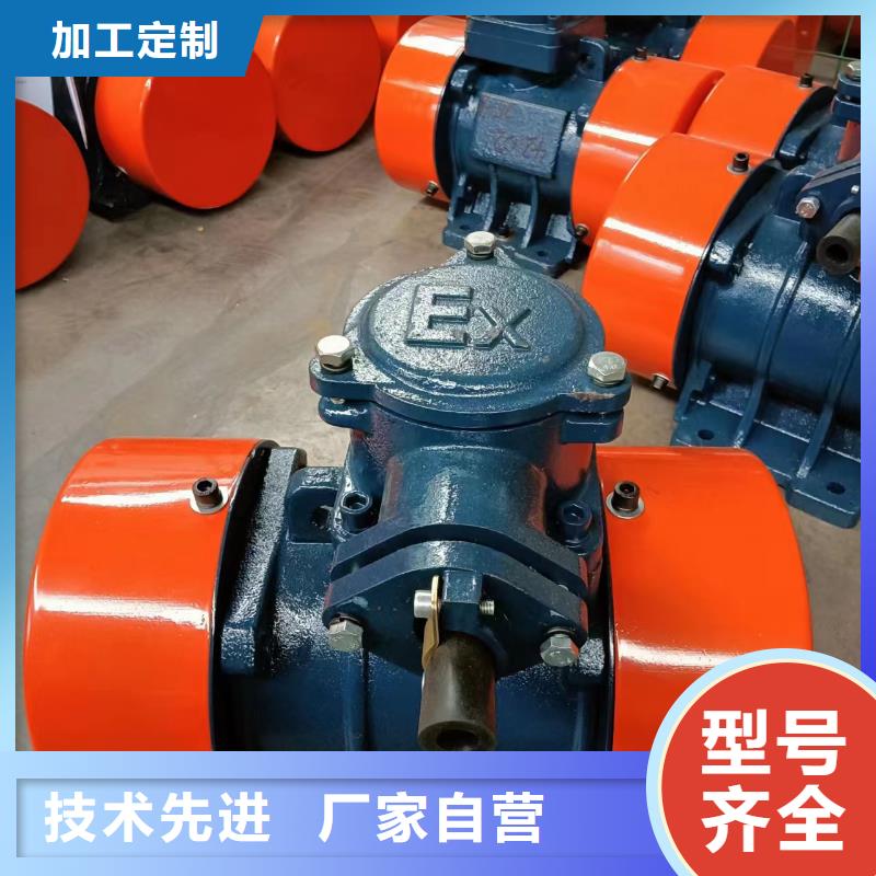 防爆振動電機【平板振動器】訂制批發
