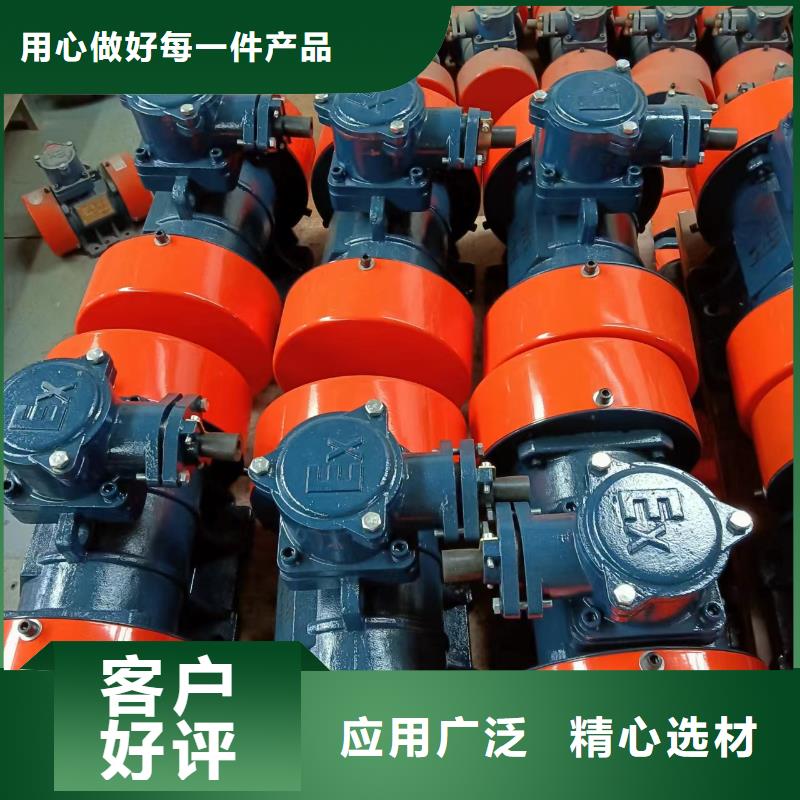 防爆振動電機_滾動式振動平臺保質保量