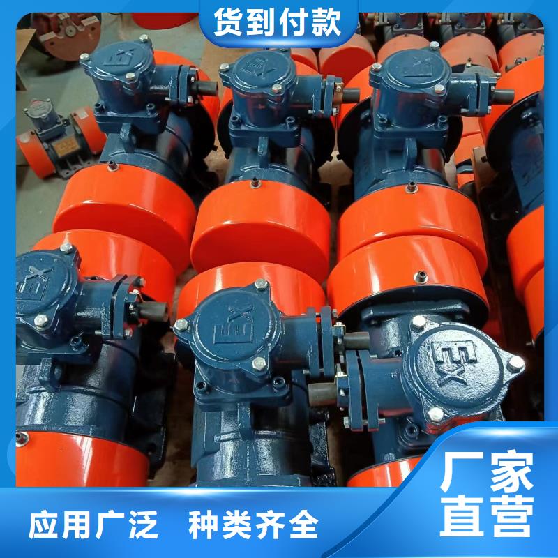 防爆振動電機,振動平臺廠家嚴選好貨