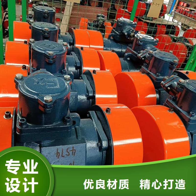 防爆振动电机平板振动器厂家质量好