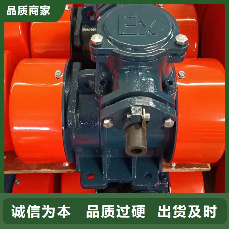 防爆振動電機_滾動式振動平臺保質保量
