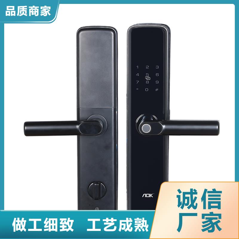 可视智能锁工程