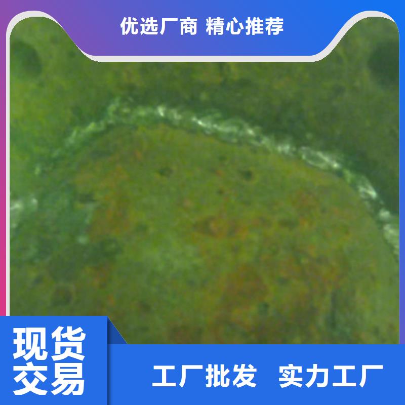 水下攔污柵更換清理經驗豐富