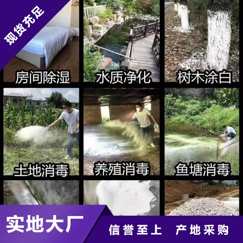 石灰刷樹生石灰免費詢價