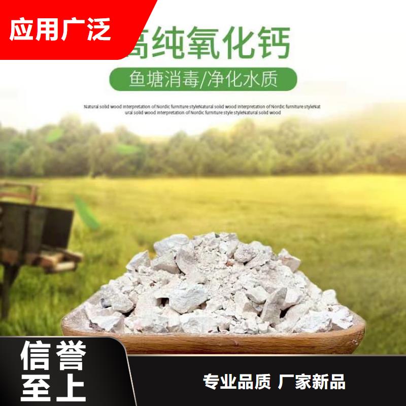 石灰高鈣生石灰正規(guī)廠家