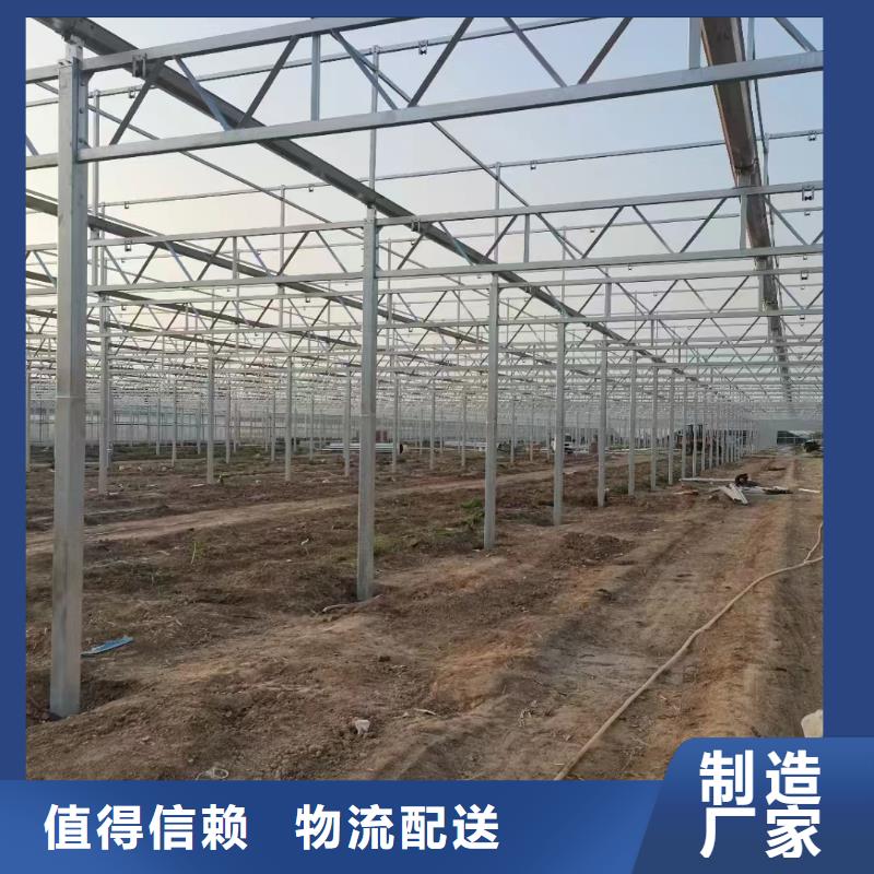 溫室大棚-光伏支架地樁0中間商差價