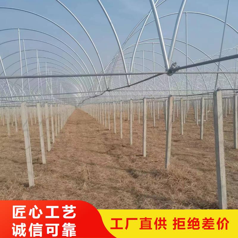 溫室大棚鋅鋁鎂光伏支架價(jià)格實(shí)惠