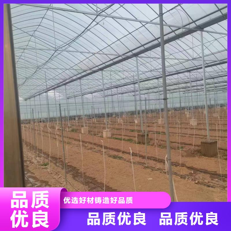 溫室大棚光伏車棚制作廠家規格全