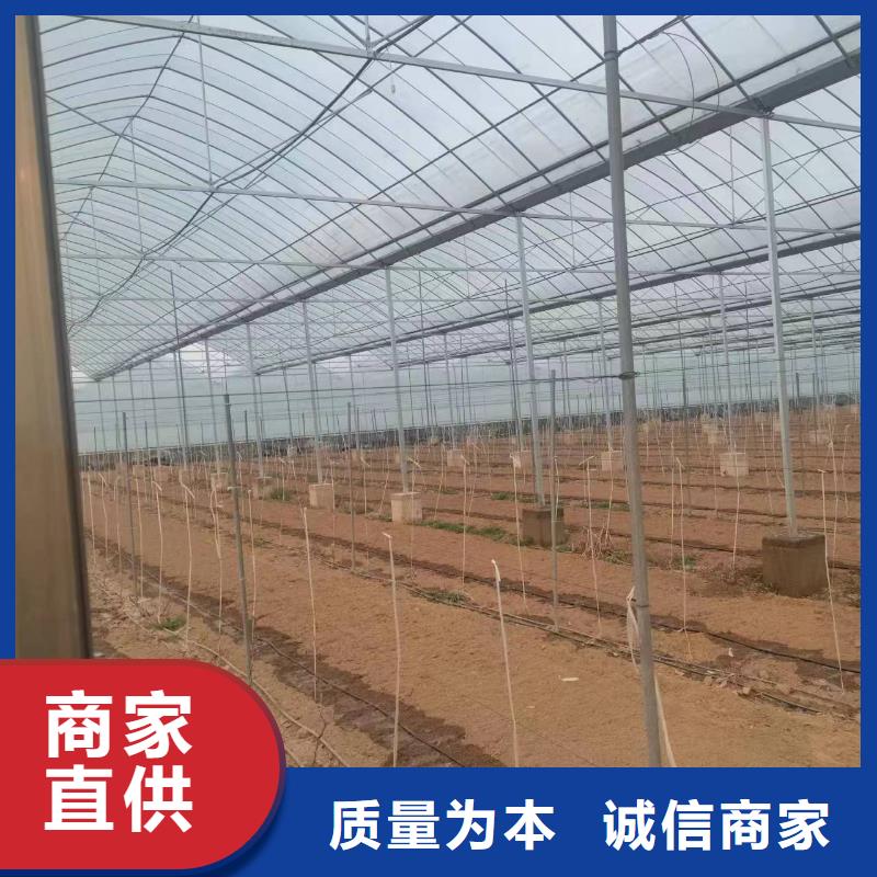 溫室大棚-熱鍍鋅光伏支架直銷廠家