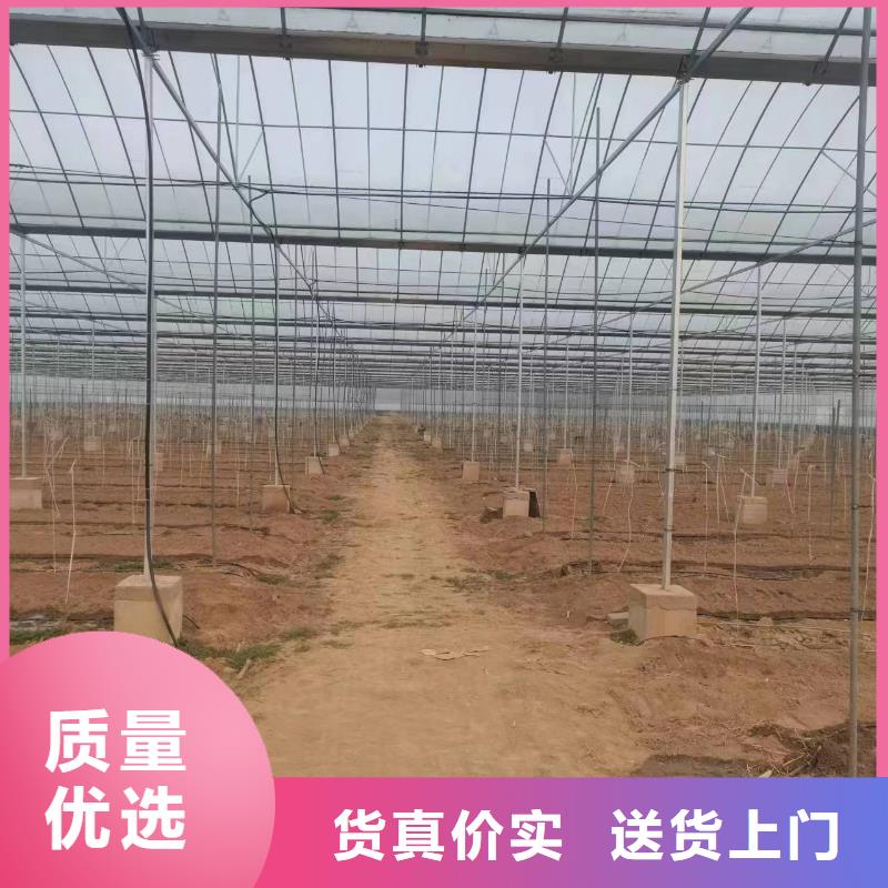 溫室大棚熱鍍鋅光伏支架定制銷售售后為一體