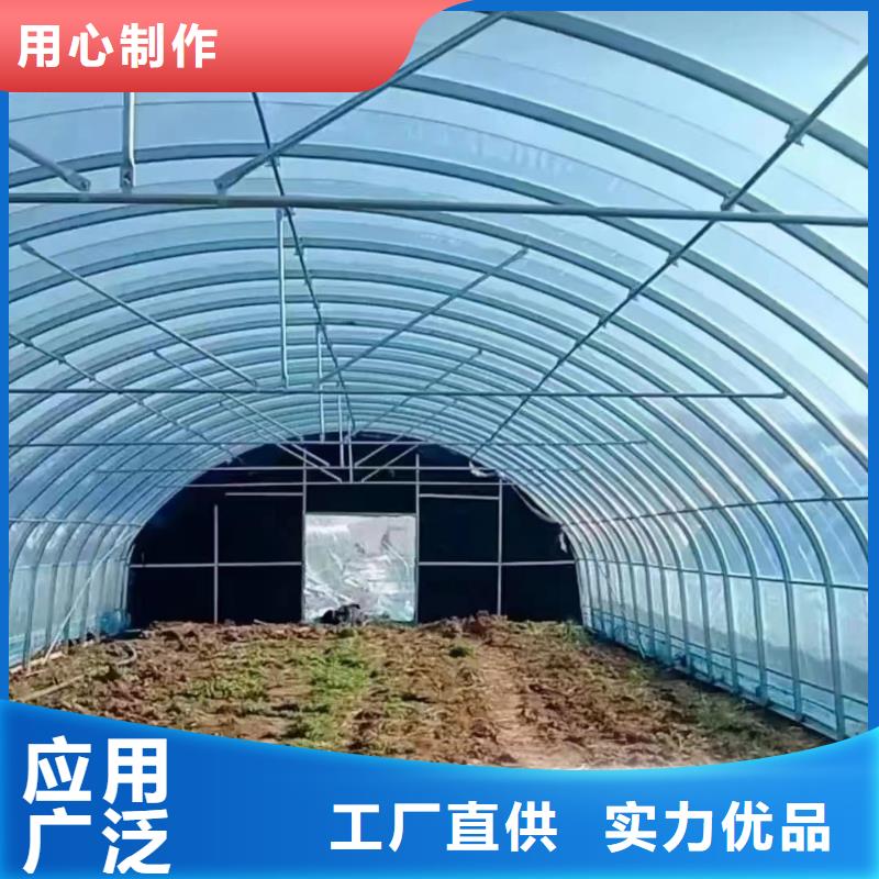 【薄膜連棟溫室】【避雨棚】設(shè)計(jì)