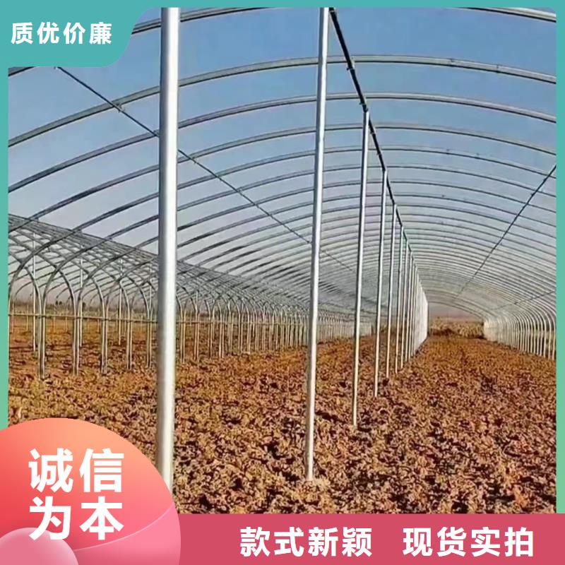 溫室大棚鋅鋁鎂光伏支架現貨充足