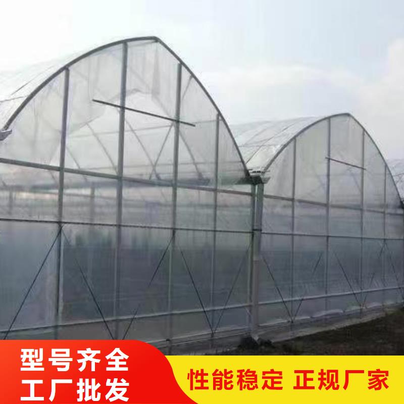 溫室大棚養殖棚批發貨源