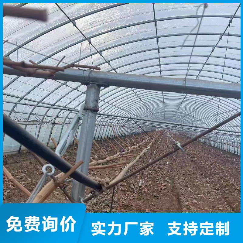 溫室大棚光伏支架實拍展現(xiàn)