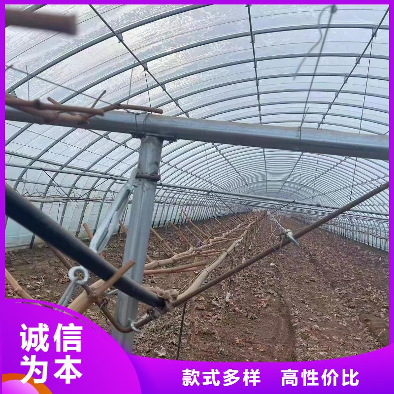 溫室大棚光伏支架實拍展現
