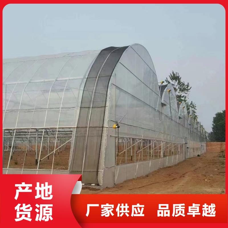 温室大棚蘑菇棚放心得选择