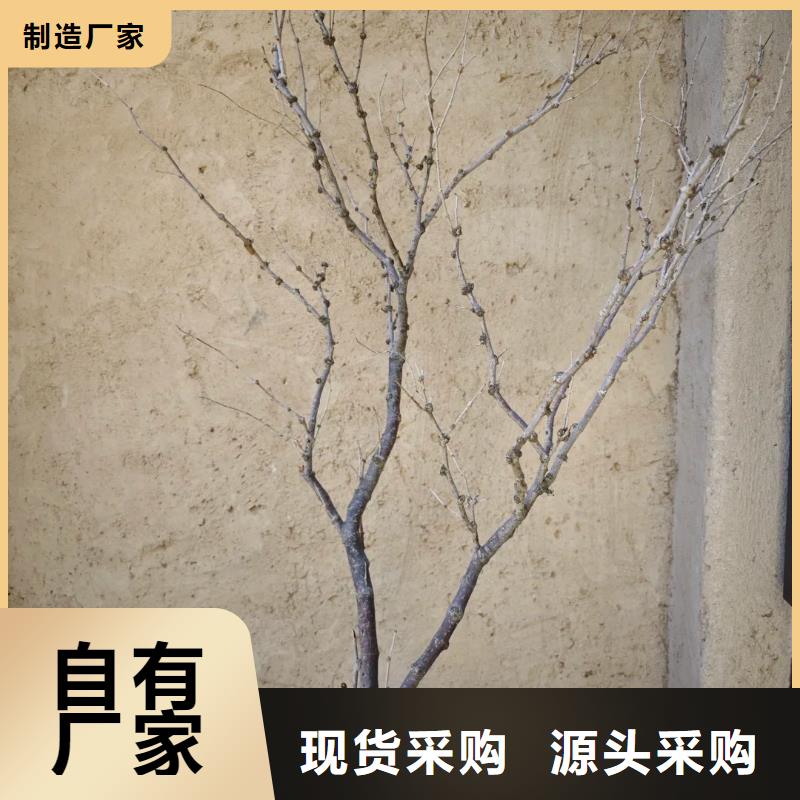 仿泥巴稻草漆，民宿改造，美麗鄉(xiāng)村，仿夯土肌理漆廠家定制
