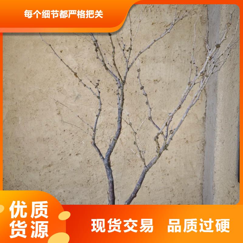 稻殼漆生產(chǎn)廠家，批發(fā)直銷