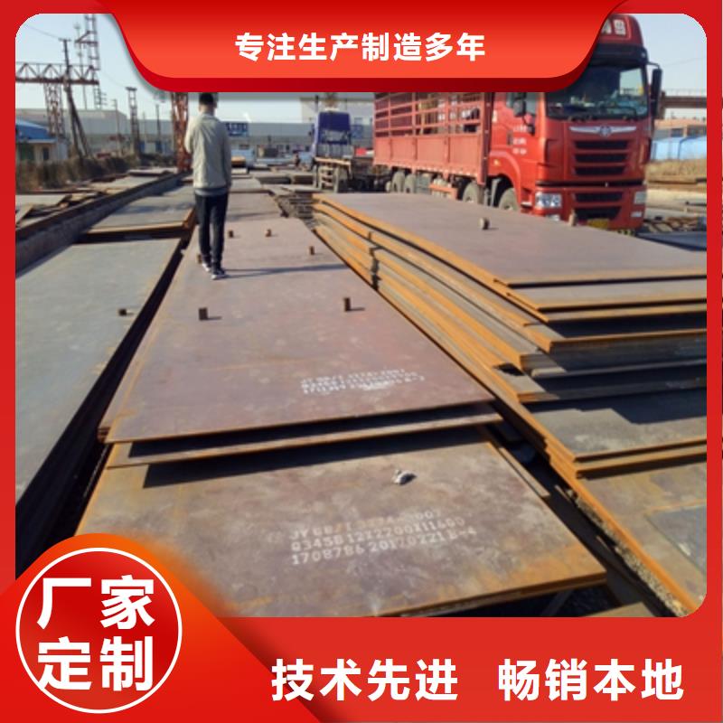 BS500DT貝斯耐磨板實體大廠