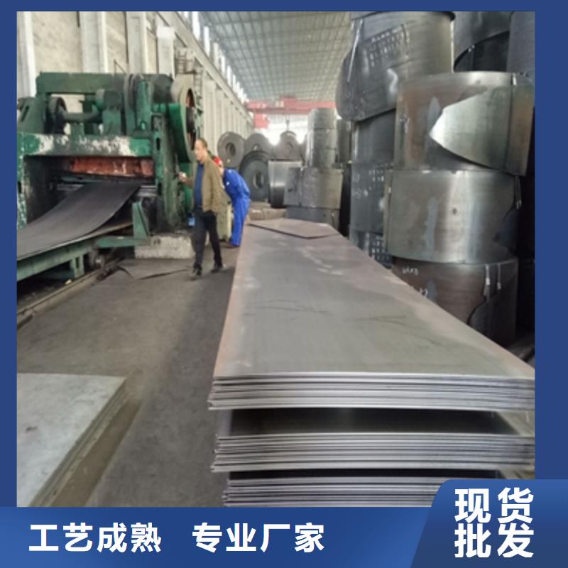 BS500DT貝斯鋼板現貨直供