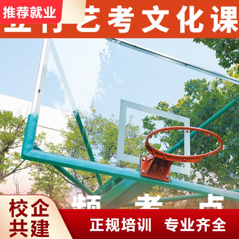 藝考文化課培訓(xùn)高考全日制指導(dǎo)就業(yè)
