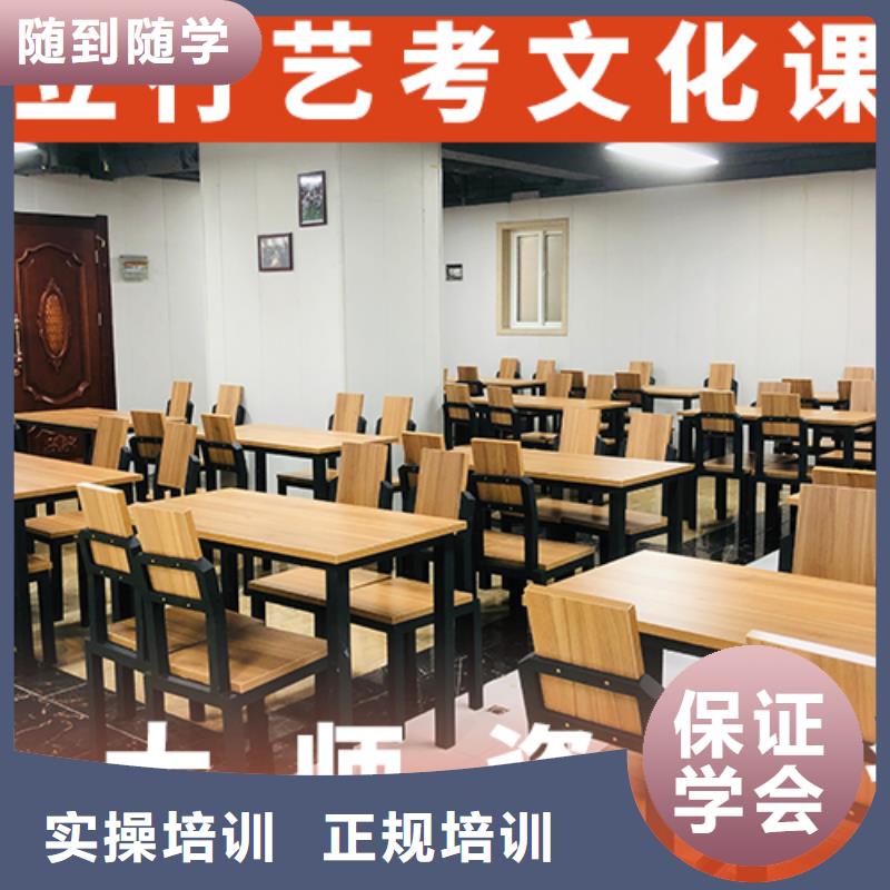 藝考文化課輔導(dǎo)美術(shù)生文化課培訓(xùn)課程多樣