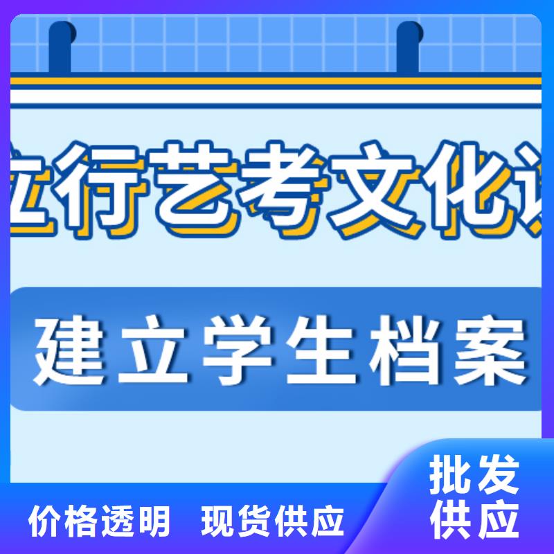 藝考文化課輔導有哪些雙文化課教學
