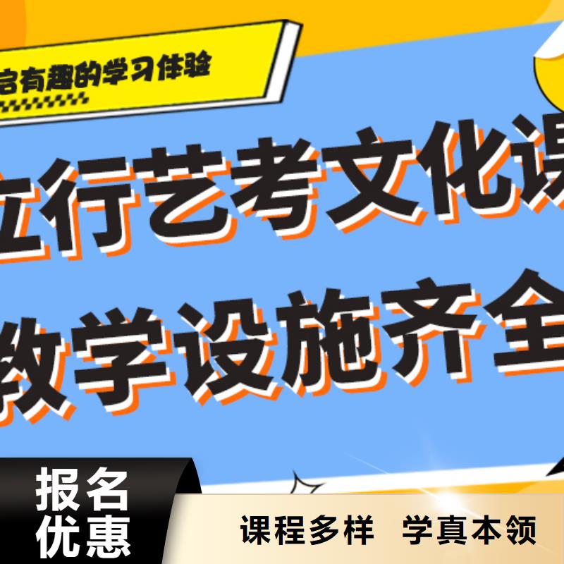 藝術(shù)生文化課-高中一對一輔導(dǎo)校企共建
