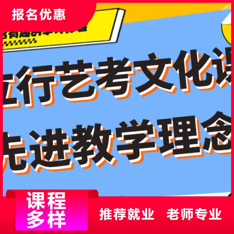 藝術(shù)生文化課-高中一對一輔導(dǎo)校企共建
