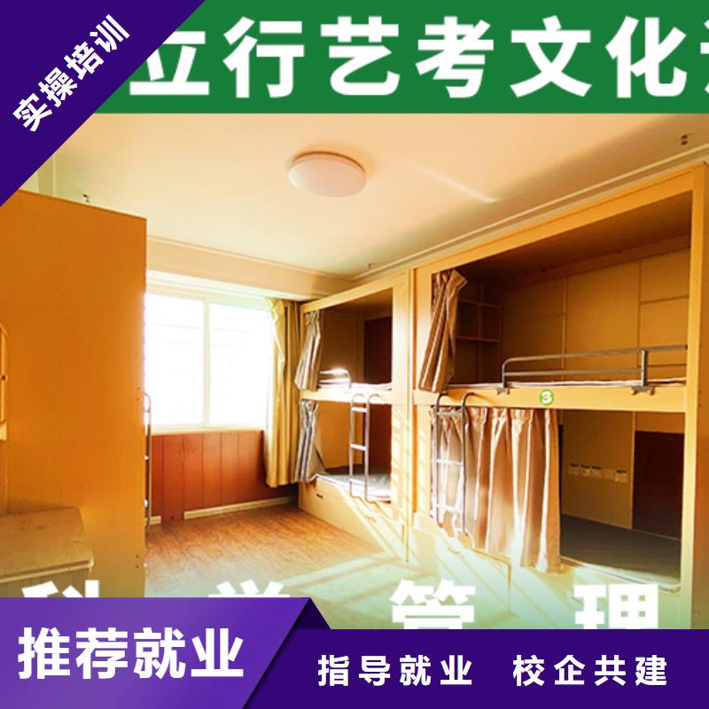 藝考文化課集訓(xùn)藝考一對一教學(xué)就業(yè)前景好