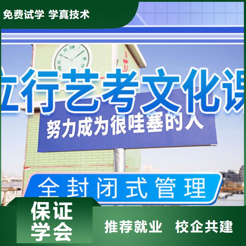 艺考文化课培训美术艺考手把手教学