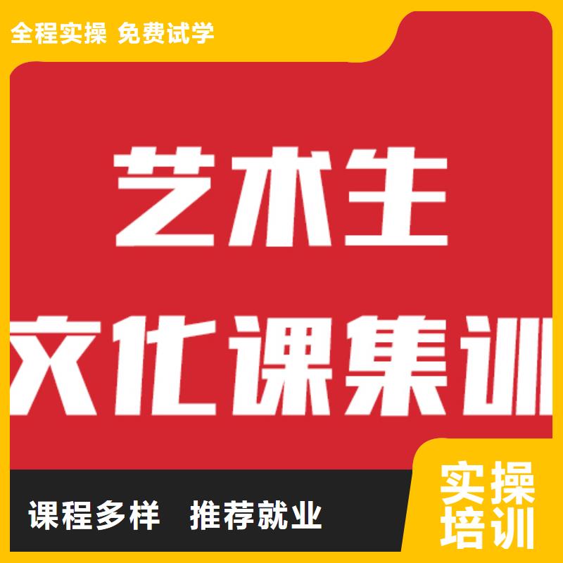 藝考生文化課高考沖刺輔導(dǎo)機(jī)構(gòu)正規(guī)學(xué)校