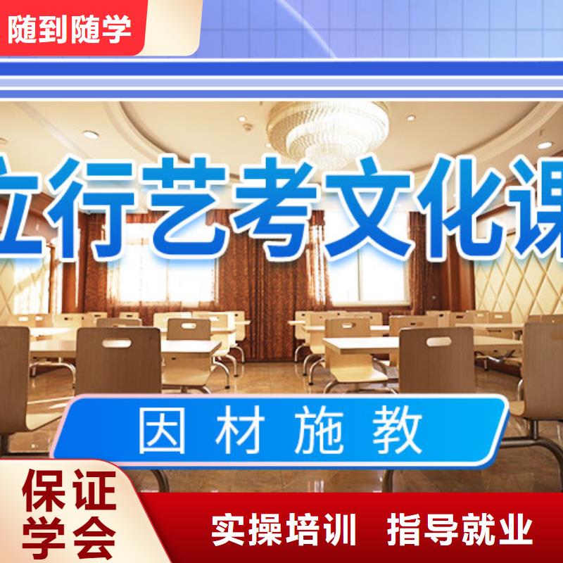 藝考文化課集訓【高考語文輔導】正規(guī)學校