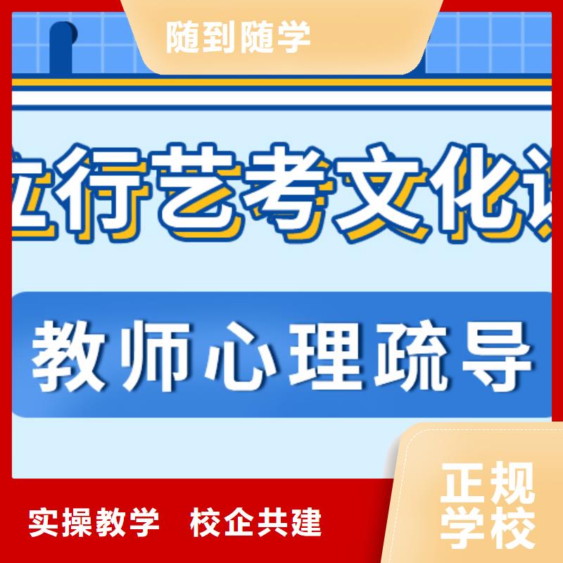 艺考文化课高考补习班师资力量强