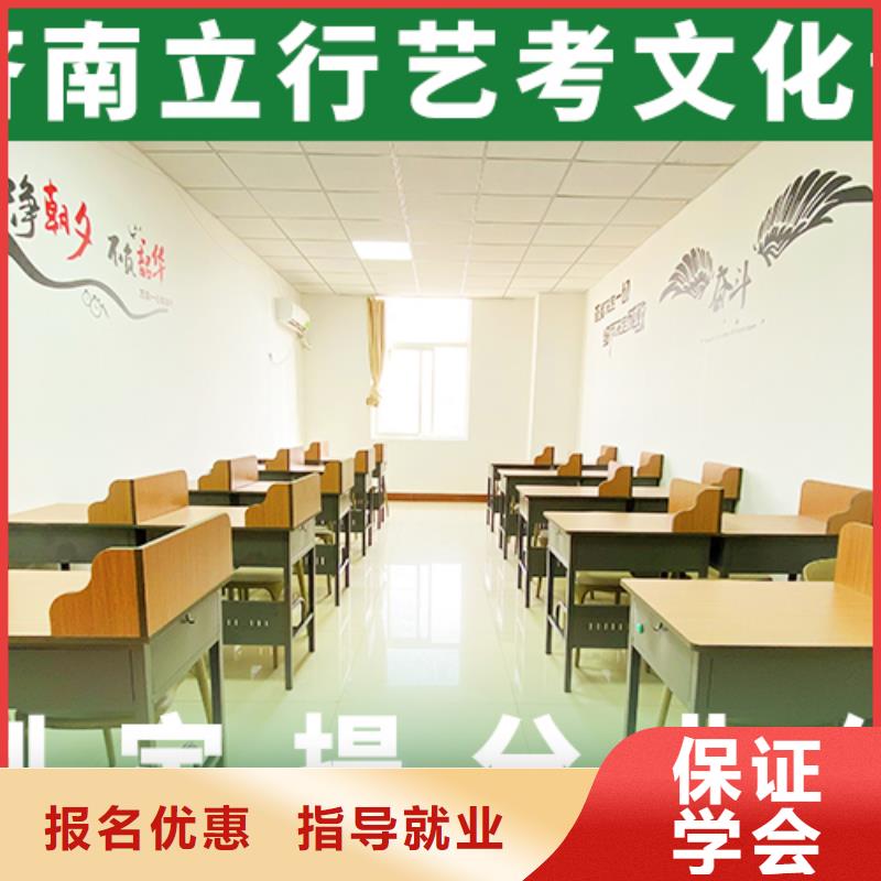藝考文化課培訓(xùn)【高中一對一輔導(dǎo)】理論+實(shí)操