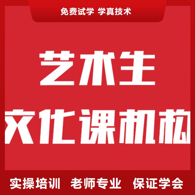藝考文化課培訓(xùn)-高考物理輔導(dǎo)學(xué)真本領(lǐng)