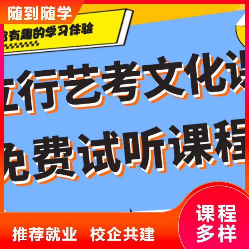 藝考生文化課【高考化學(xué)輔導(dǎo)】老師專業(yè)