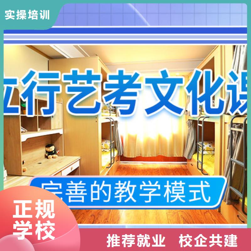 艺考文化课艺考复读清北班技能+学历
