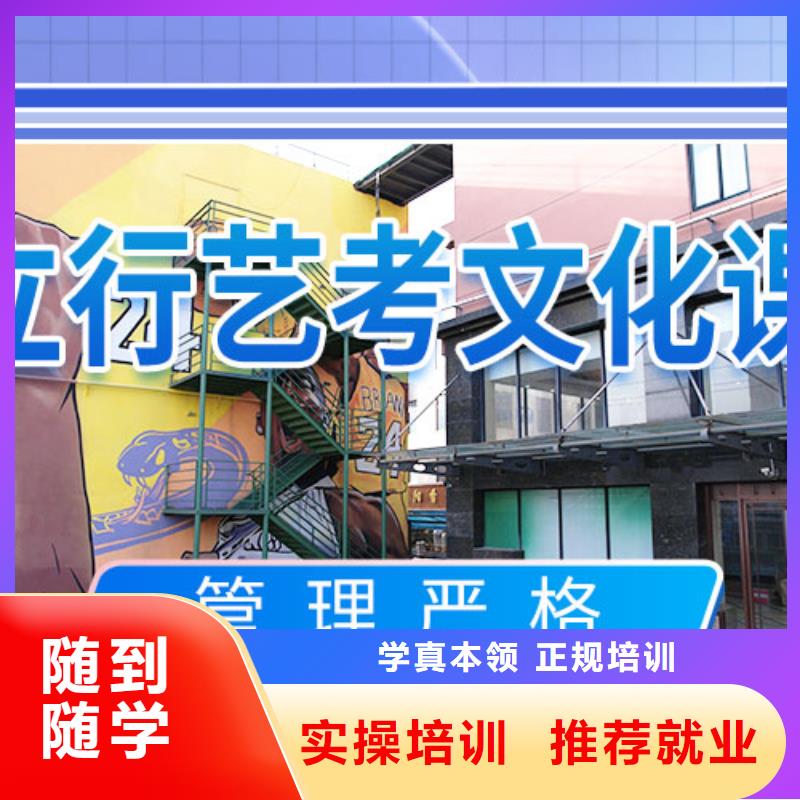藝術(shù)生文化課培訓(xùn)機(jī)構(gòu)2025級怎么樣